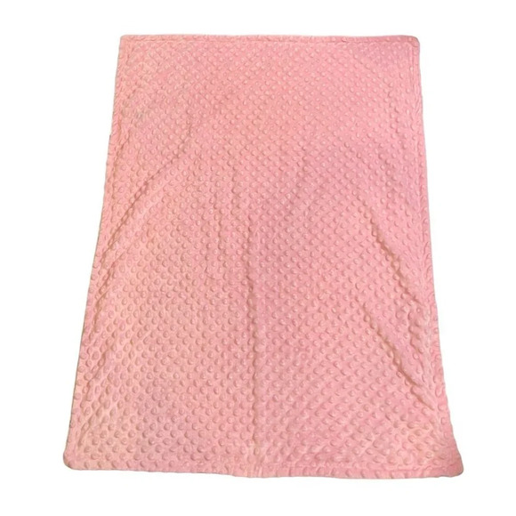 HB Hudson Baby Blanket Minky  30 x 40 Reversible Soft Pink Purple Giraffe‎ Print - Picture 3 of 6